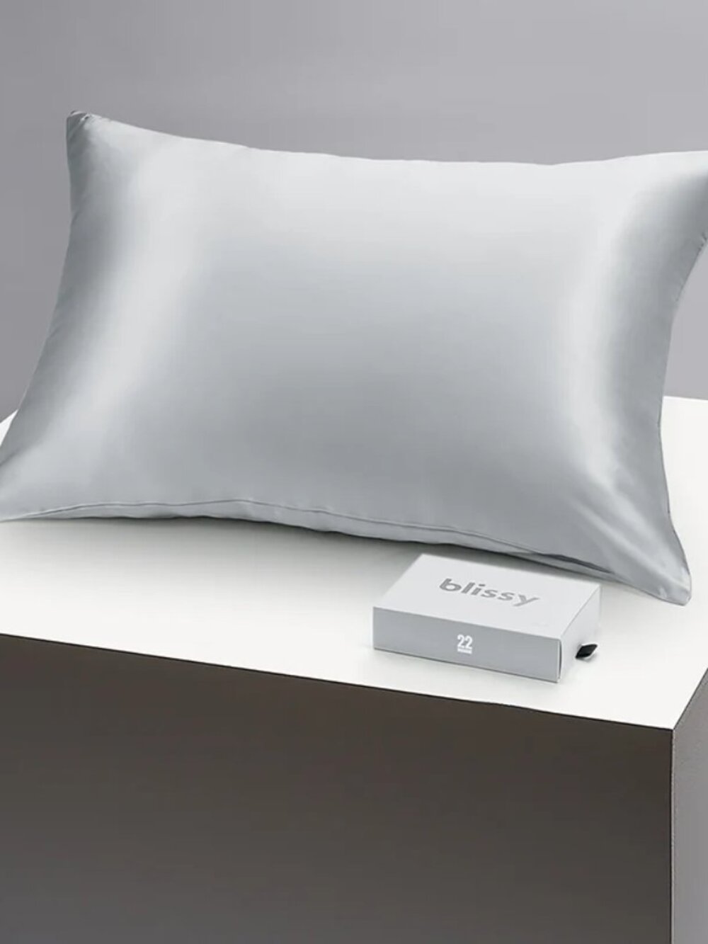 Blissy Pillowcase 100 Pure Mulberry Silk 22 Momme 6A High-Grade Standard SILVER